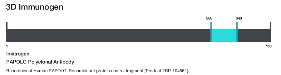 PAPOLG Polyclonal Antibody