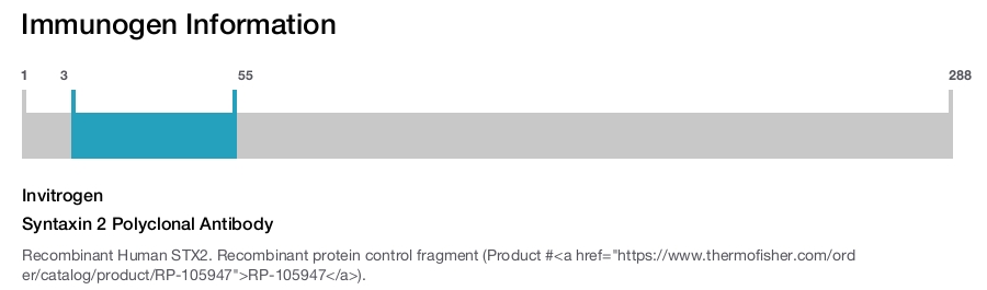 Syntaxin 2 Polyclonal Antibody