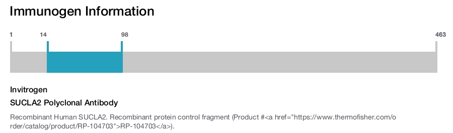 SUCLA2 Polyclonal Antibody