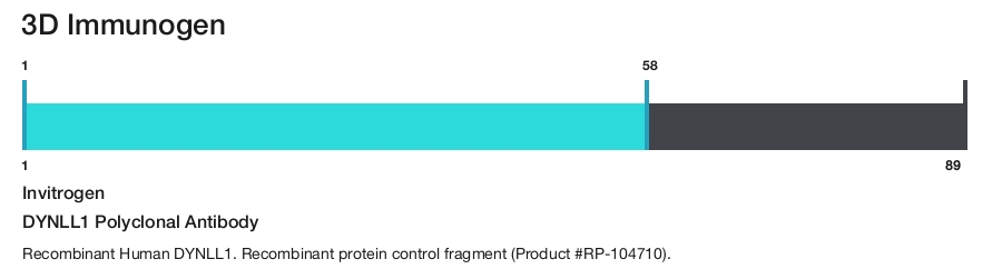 DYNLL1 Polyclonal Antibody