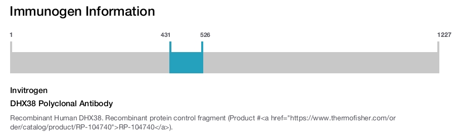 DHX38 Polyclonal Antibody