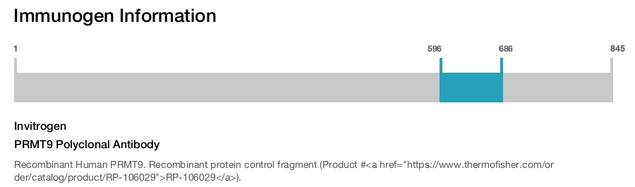 PRMT9 Polyclonal Antibody
