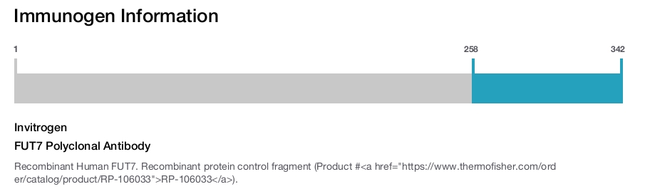 FUT7 Polyclonal Antibody