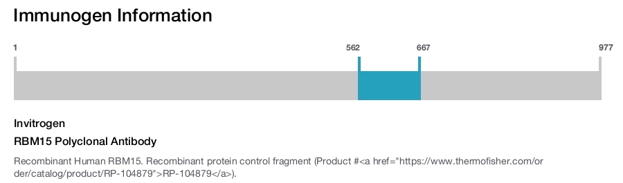 RBM15 Polyclonal Antibody