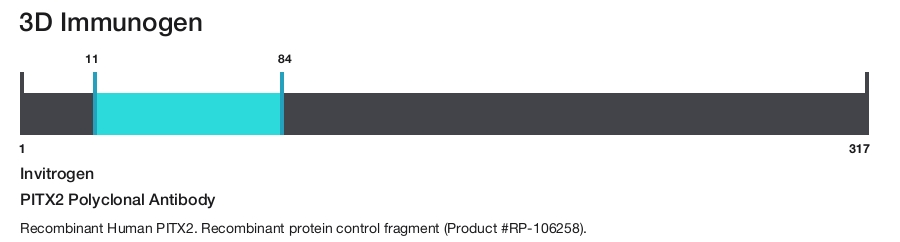 PITX2 Polyclonal Antibody