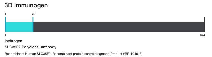 SLC35F2 Polyclonal Antibody
