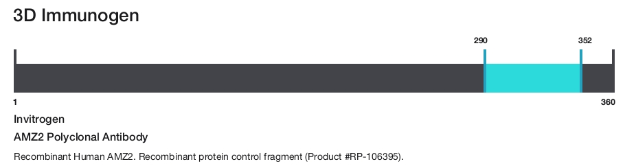 AMZ2 Polyclonal Antibody