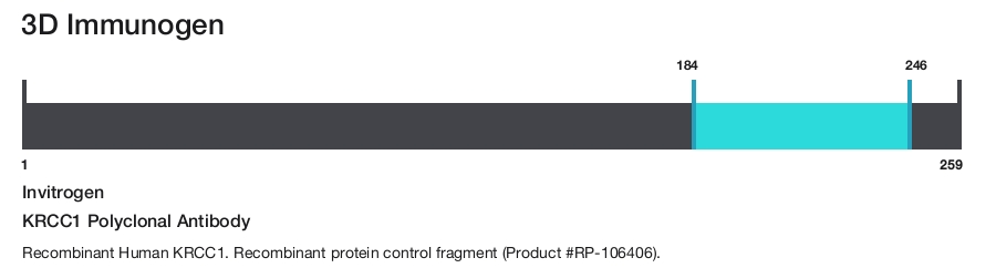 KRCC1 Polyclonal Antibody
