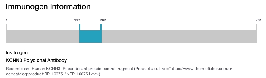 KCNN3 Polyclonal Antibody