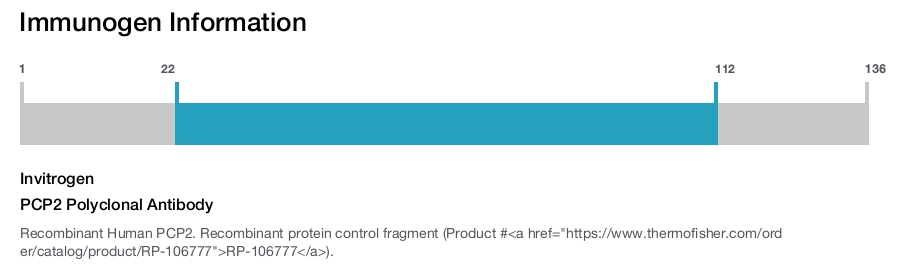 PCP2 Polyclonal Antibody