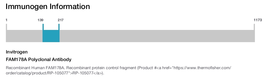 FAM178A Polyclonal Antibody
