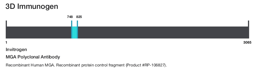 MGA Polyclonal Antibody