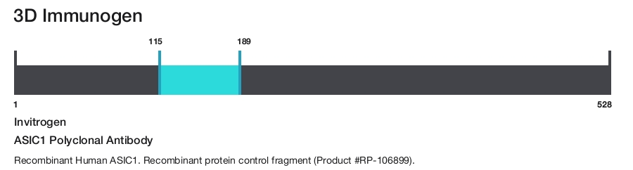 ASIC1 Polyclonal Antibody