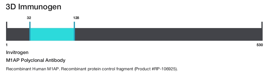 M1AP Polyclonal Antibody