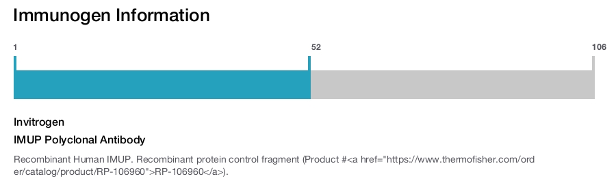 IMUP Polyclonal Antibody