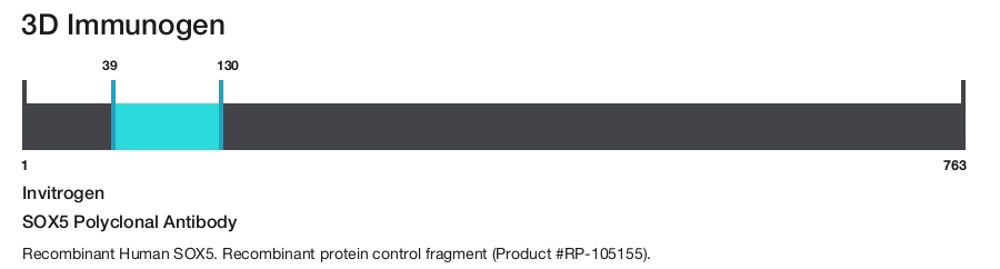 SOX5 Polyclonal Antibody