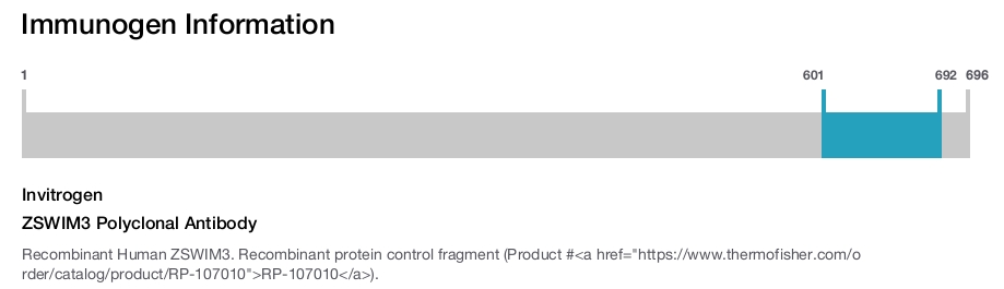 ZSWIM3 Polyclonal Antibody
