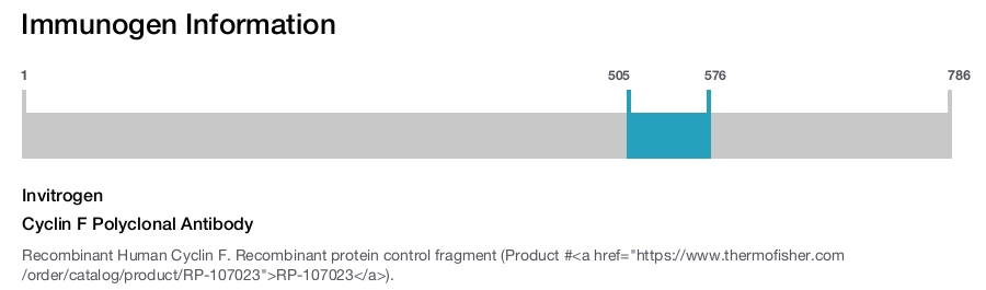 Cyclin F Polyclonal Antibody