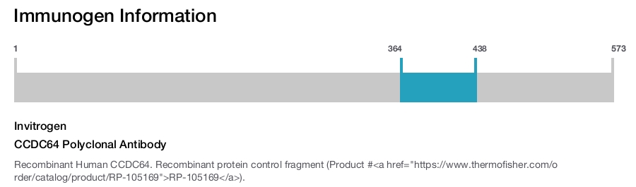 CCDC64 Polyclonal Antibody