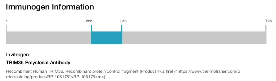 TRIM36 Polyclonal Antibody