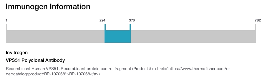 VPS51 Polyclonal Antibody