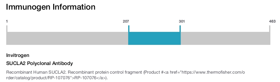 SUCLA2 Polyclonal Antibody