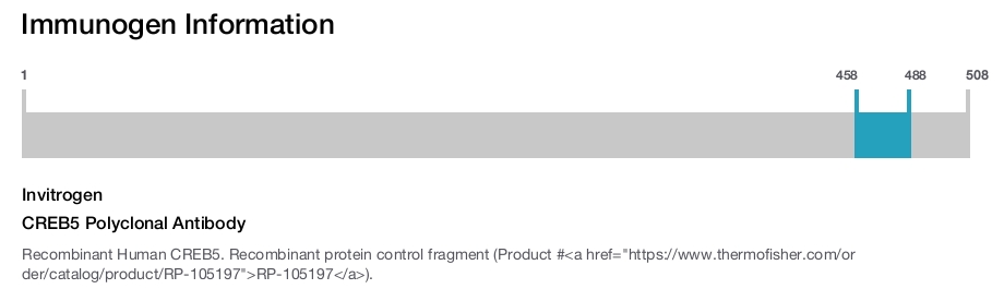 CREB5 Polyclonal Antibody
