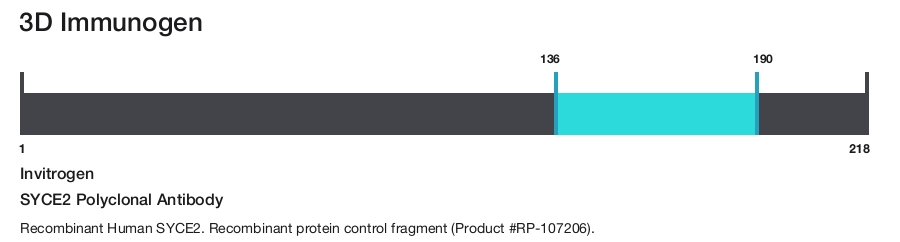 SYCE2 Polyclonal Antibody