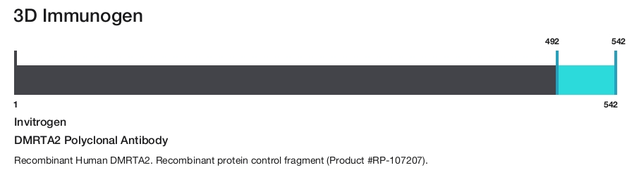DMRTA2 Polyclonal Antibody