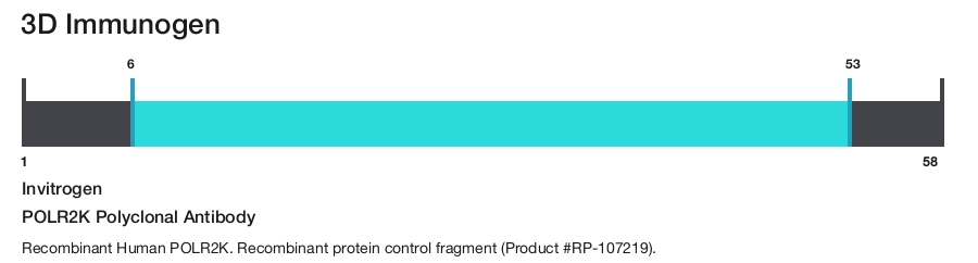 POLR2K Polyclonal Antibody