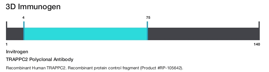 TRAPPC2 Polyclonal Antibody