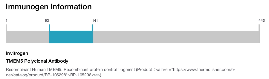 TMEM5 Polyclonal Antibody