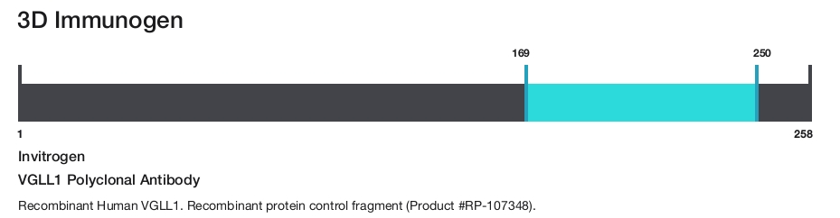 VGLL1 Polyclonal Antibody