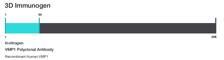 VMP1 Polyclonal Antibody