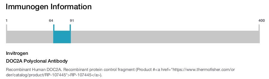DOC2A Polyclonal Antibody