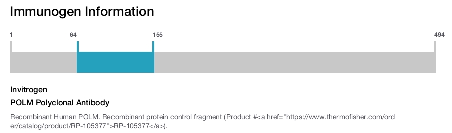 POLM Polyclonal Antibody