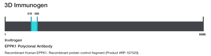 EPPK1 Polyclonal Antibody