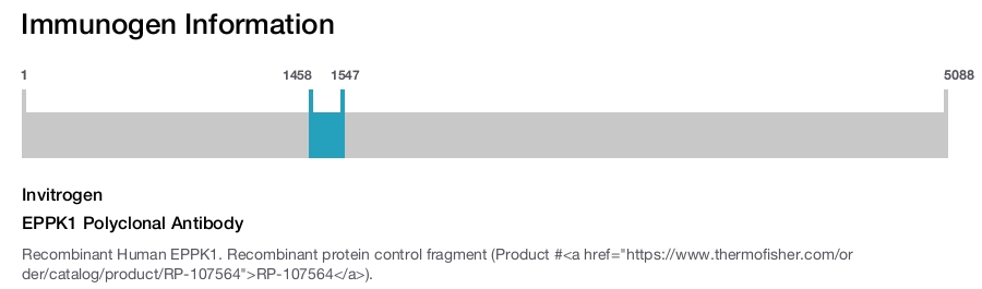 EPPK1 Polyclonal Antibody
