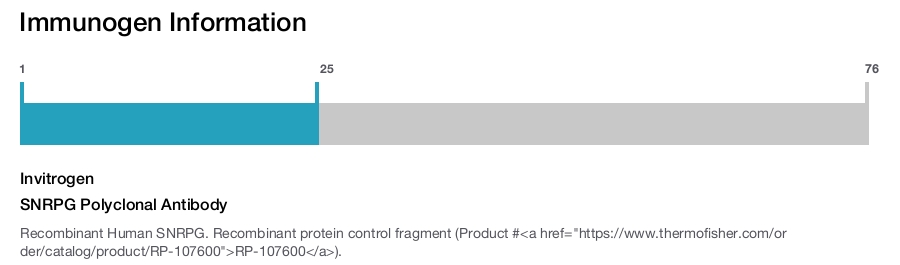 SNRPG Polyclonal Antibody