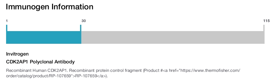 CDK2AP1 Polyclonal Antibody