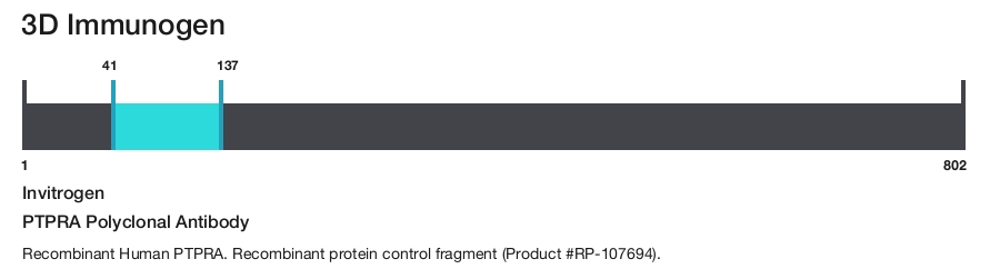 PTPRA Polyclonal Antibody