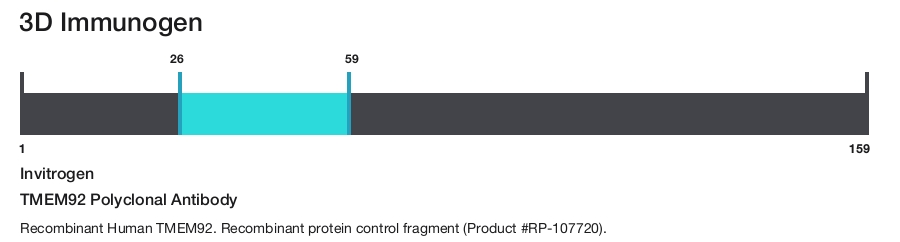 TMEM92 Polyclonal Antibody