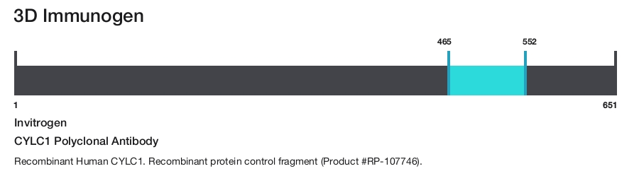 CYLC1 Polyclonal Antibody