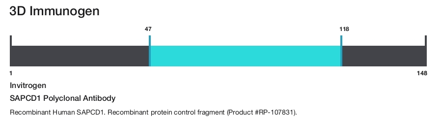 SAPCD1 Polyclonal Antibody