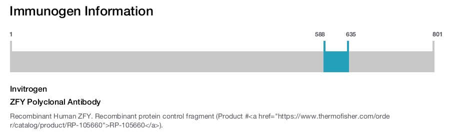 ZFY Polyclonal Antibody