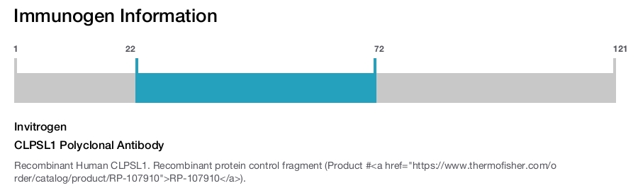 CLPSL1 Polyclonal Antibody