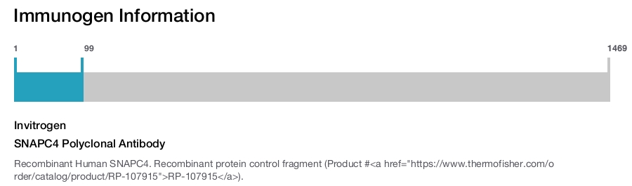SNAPC4 Polyclonal Antibody