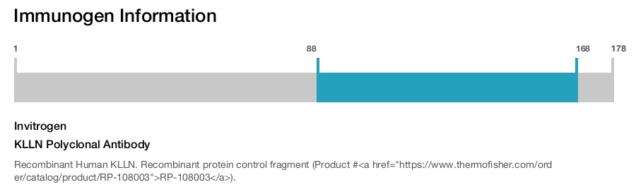 KLLN Polyclonal Antibody