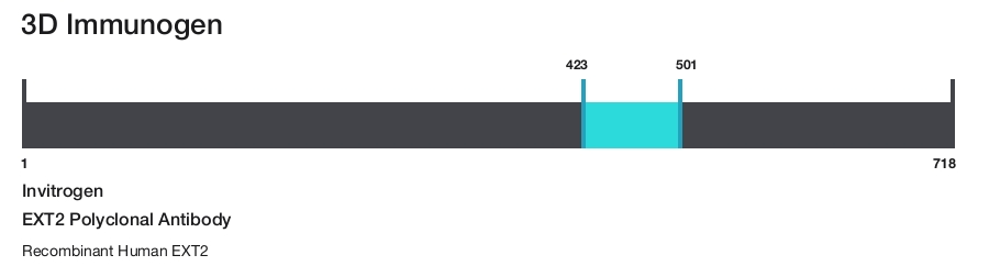 EXT2 Polyclonal Antibody