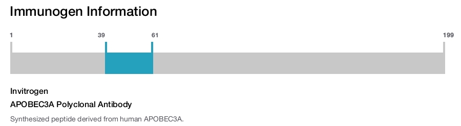 APOBEC3A Polyclonal Antibody